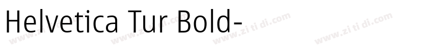 Helvetica Tur Bold字体转换